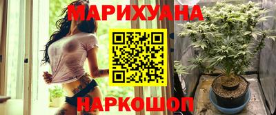 тгк Будённовск