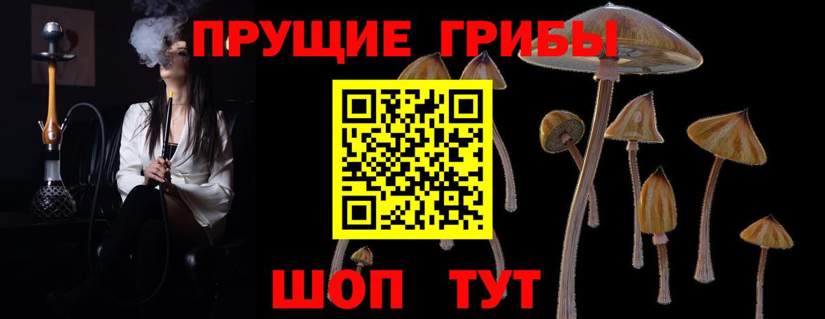 Радужный  Псилоцибиновые грибы Cubensis  Вход с VPN 